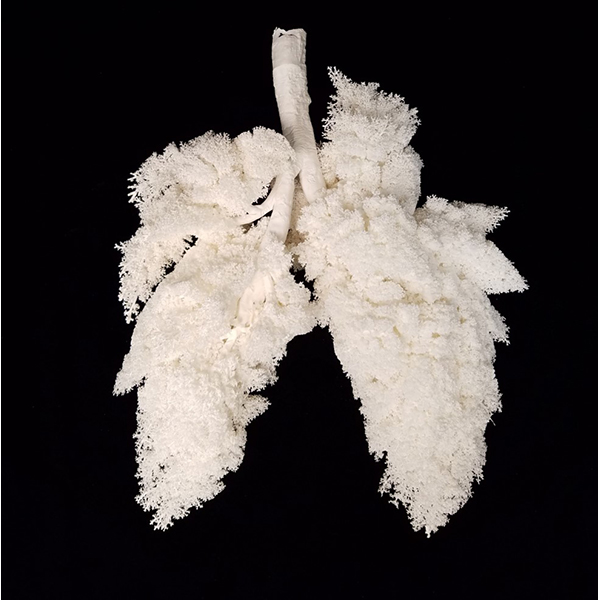 Respiratory